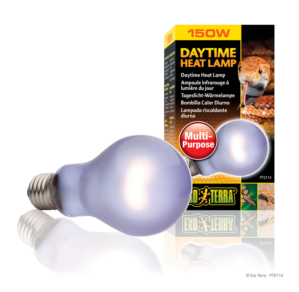 All living things neodymium basking clearance bulb