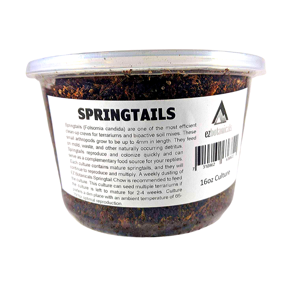 Live Springtails, Mixed Seeding Culture, by Critters Direct
